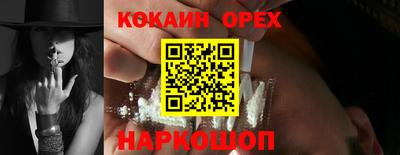крисы Краснознаменск