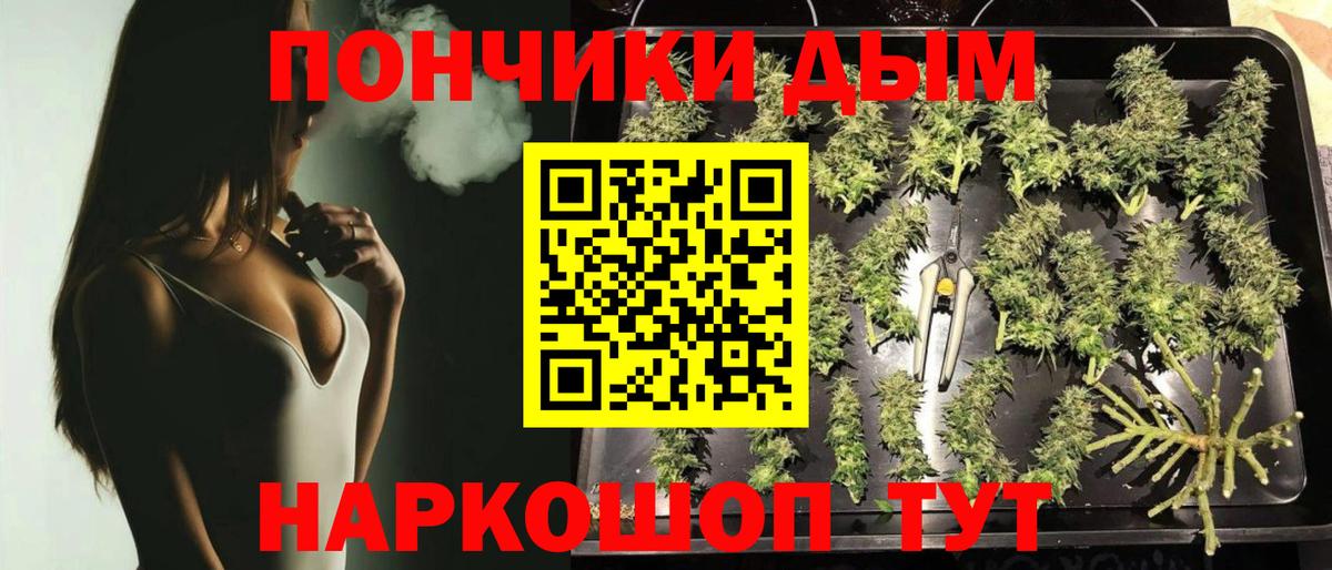 Донецк  Каннабис семена  Бошки Шишки план  Канабис тримм  Вход с VPN  Канабис семена 